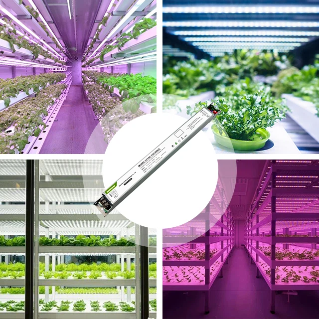 Vrè pa gen okenn-Afterglow chofè ki pa izole pou grandi ekleraj